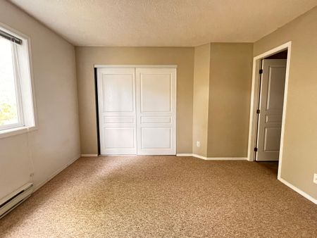 Swan - 204 - Photo 4