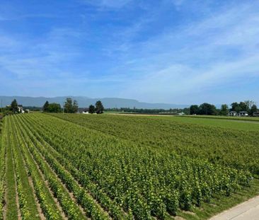 Belle maison mitoyenne avec grand jardin privative à Coppet - Photo 4