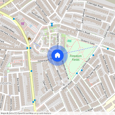 Greenbank Terrace, Greenbank, Plymouth