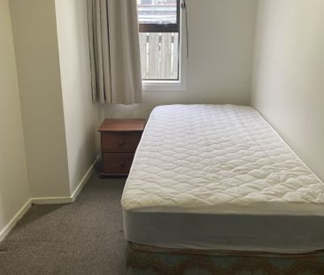 SUN ' N ' SAND HOSTEL PETONE - Photo 5