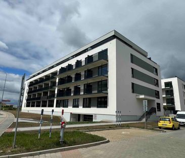 Pronájem bytu 1+kk • 32 m² bez realitkyŽelezná, Plzeň - Plzeň, Plze... - Photo 3