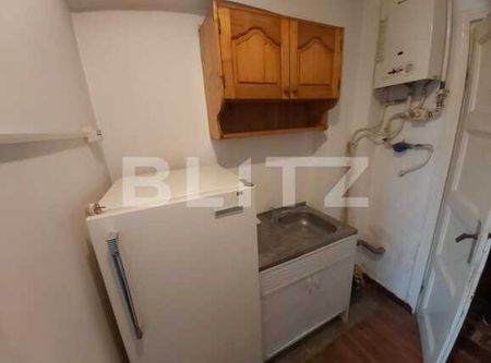Apartament cu o camera Pet Friendly, 32mp, zona strazii Horea - Fotografie 5