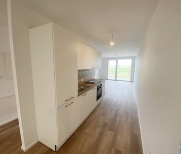 Modern Wohnen im Grünen: Ihr neues Zuhause im Herzen des Tullnerfelds - Photo 4