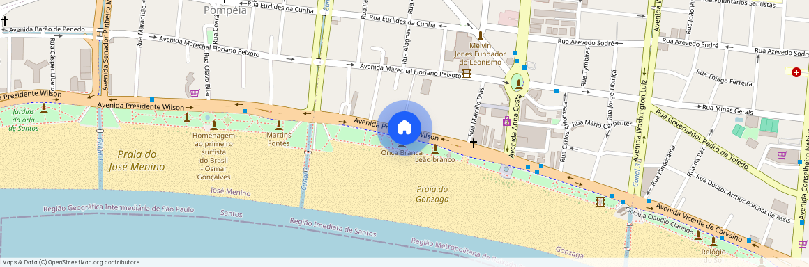 Avenida Presidente Wilson, Gonzaga, SP, Santos