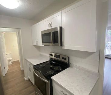 Mapleview Place — 1 Bedroom - Photo 1