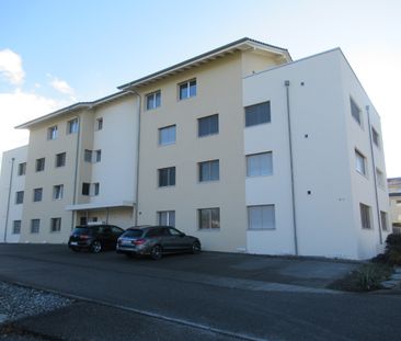 Wohnen mit Anschluss - 2.5-Zimmer-Wohnung nahe Luzern und Sursee! - Foto 1
