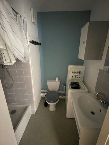 Location Appartement 1 pièce 18m² - Photo 3