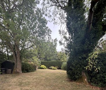 3 bedroom detached house to rent - Photo 1