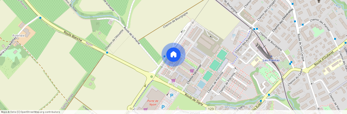 Allée de la Petite-Prairie 8, 1260 Nyon