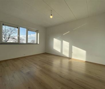 Huis te huur - Foto 3