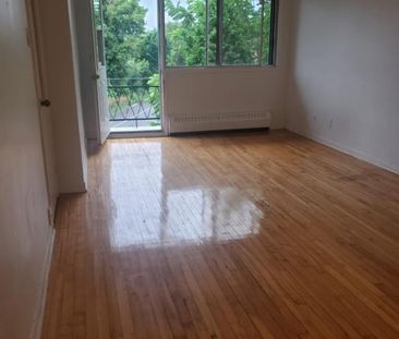 Studio 1 1/2 à louer - Photo 2