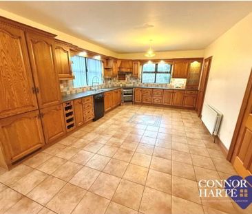 271 Pomeroy Road, Donaghmore, BT70 3DT - Photo 6