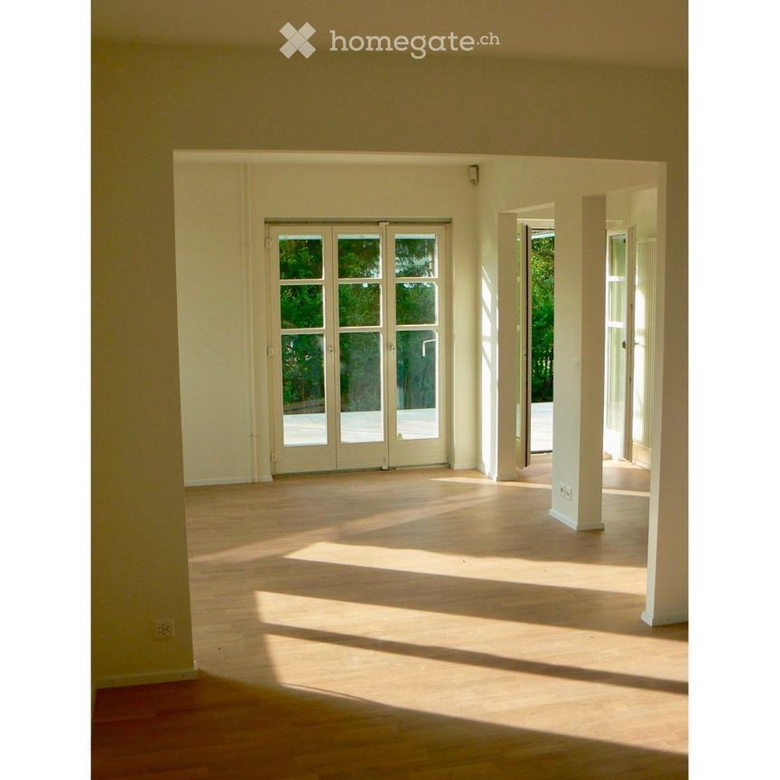 Seesicht: ZH Witikon - stilvolles Stadthaus ┃ Lakeview: Zurich Witikon - stylish town house - Photo 1