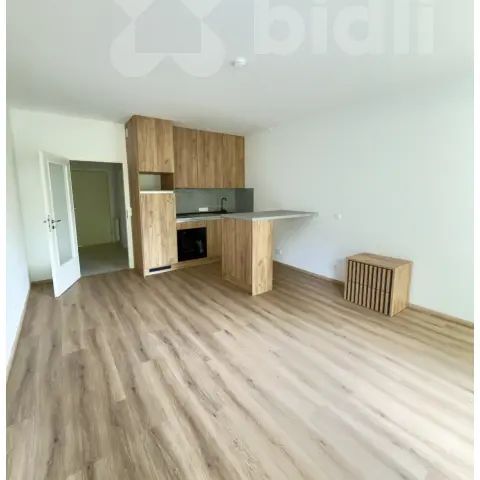 1kk v novostavbě - Photo 1