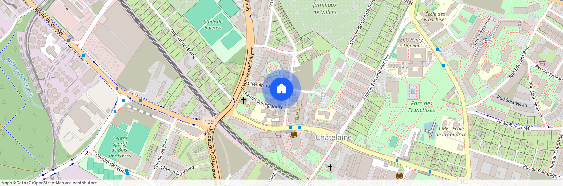 Chemin de Maisonneuve 9, 1219, Châtelaine