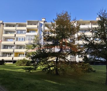 Kijewo, ul. Tarpanowa, Szczecin - Zdjęcie 5