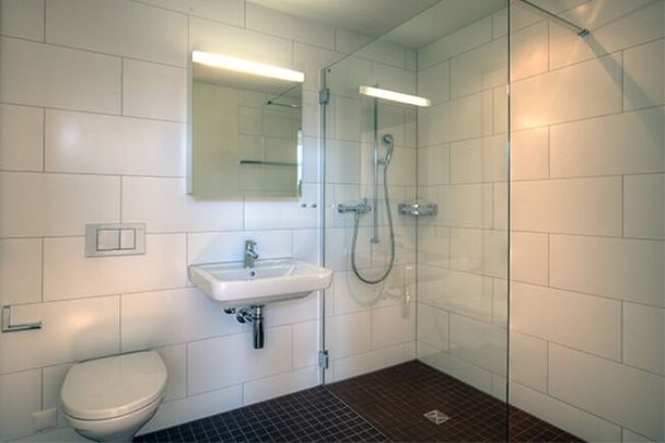 Large family apartment in front of the lake - Photo 1