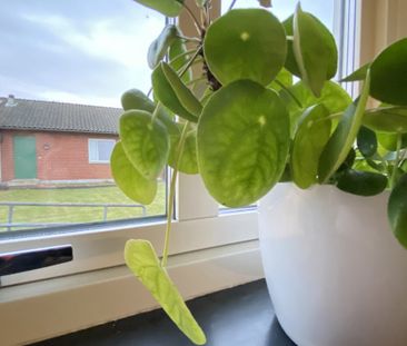 Slåttervägen 13B, Hörby - Photo 6