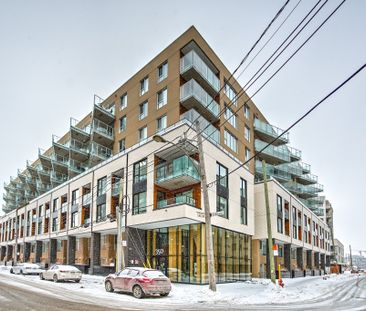 Rue Eleanor, H3C 0T5, Montréal - Photo 5