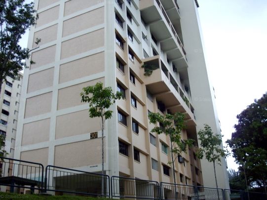 Blk 301 Clementi Haven (Clementi), HDB 4 Rooms - For Rent - Photo 1