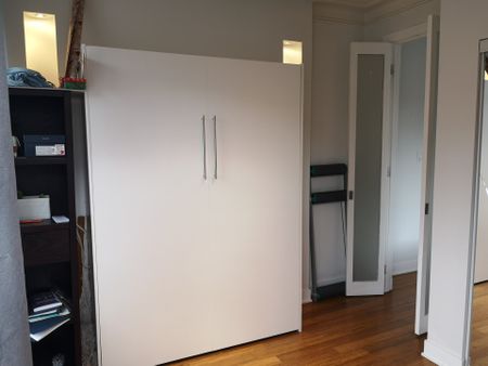 Condo for rent, Montréal (Le Plateau-Mont-Royal) - Photo 4