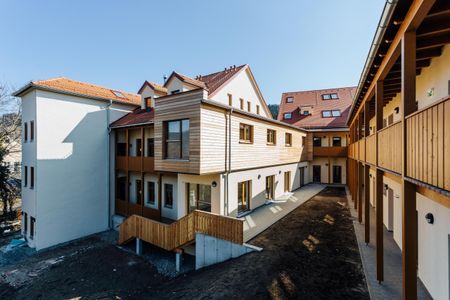 Locker & jung - Zimmer in 3er WG für Erstsemestrige oder WG-Einsteiger:innen - Photo 3