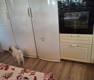 Hinkgränd, Umeå - Foto 6