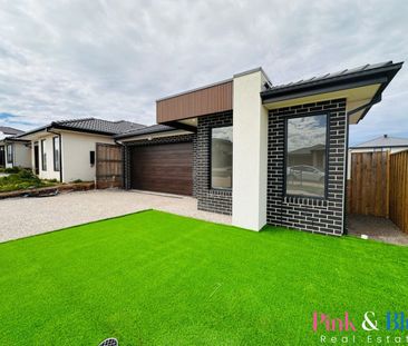 Brand new 4 Bedroom Family Home for Rent! - Photo 6