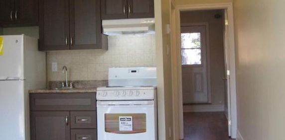 SUPER 3 1/2 ENSOLLEILLÉ COMPLETEMENT RENOVÉ 5 MNTS DE DE TOUT - Photo 2