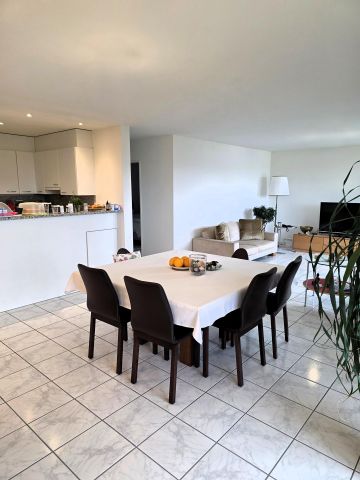 Nachmieter gesucht: charmante 3.5 Zimmer Wohnung mit Aussicht - Photo 5