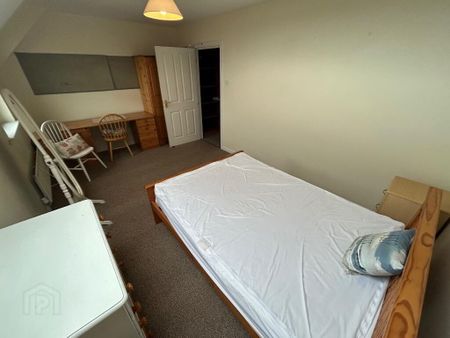 8 Ashley Mews, Belfast, BT9 7BN - Photo 3