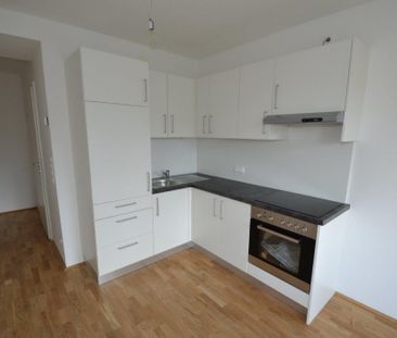 Annenviertel – 41 m² – 2 Zimmer-Wohnung – Studenten oder Singlewohnung - Foto 4