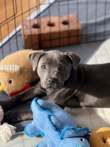 Noble Park - Photo 2