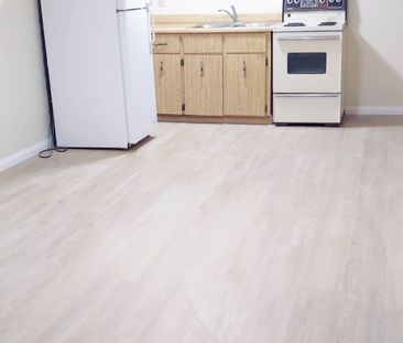 For Lease - 22 Buena Vista Avenue Unit# Lower unit, Toronto, Ontario - Photo 5