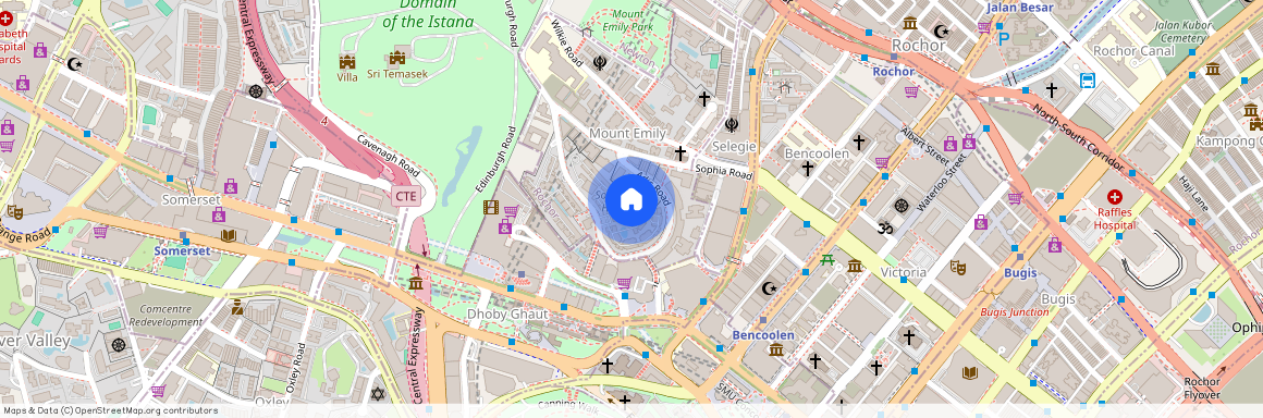 25 Mount Sophia, D09, 228477, Singapore