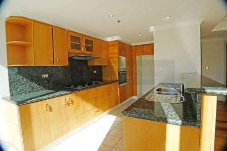 North West corner 4 Bedroom Penthouse With Breathtaking Darling Harbour views - Photo 4