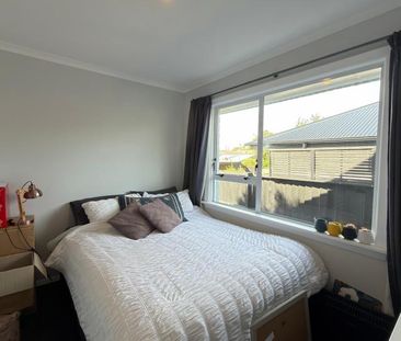 Pet Friendly - Photo 3