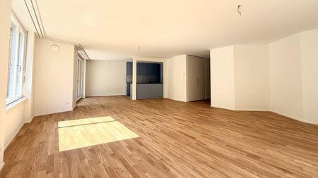 3.5 Zimmer, 115 m², 1. Stock - Photo 2