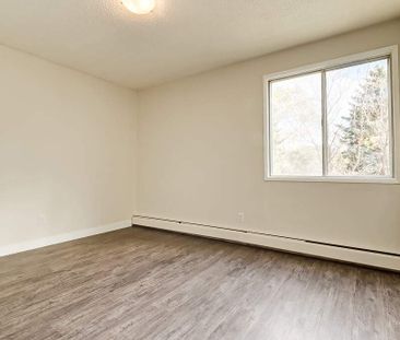 Renovated Suite - 1 Bedroom - Photo 4