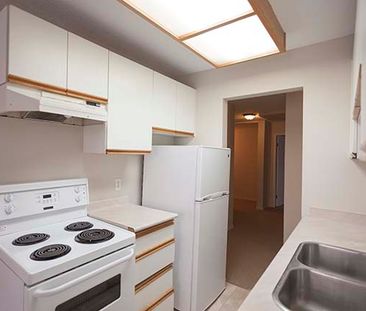 Park Astoria Apartments - 1 Bedroom - Photo 6