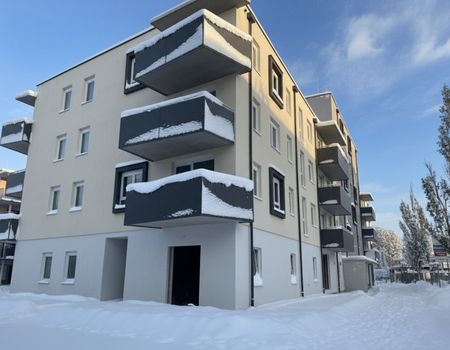 ERSTBEZUG „ein viertel grün“ in Wiener Neustadt - 4 Zimmer Familientraum - Foto 3