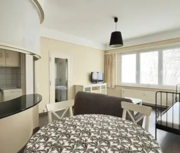 Avenue des Nerviens 135, 1040 Etterbeek, België - Foto 3