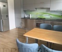 3 pok. dwupoziom. mieszkanie do wynajęcia Gumieńce - Zdjęcie 6