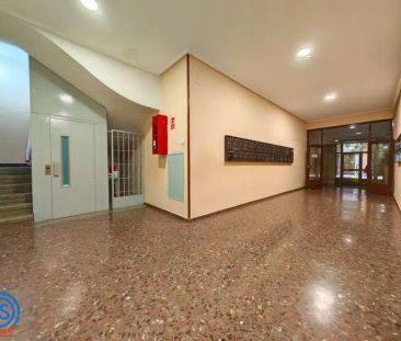 Zaragoza - Foto 4
