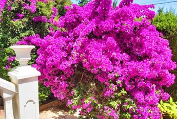 LONG TERM RENTAL. Spacious villa with 6 bedrooms for rent.