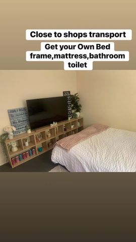 Pacific Pines - Photo 2