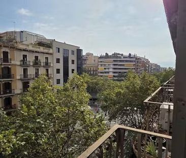 Carrer del Comte dUrgell, Barcelona, Catalonia 08011 - Photo 2