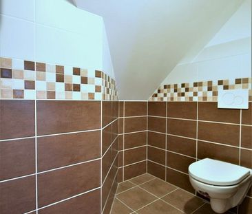 Pronájem bytu 1+kk 45 m² - Fotografie 5