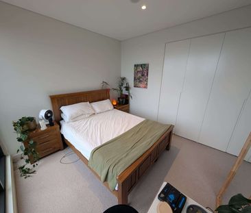 Zetland - Photo 3