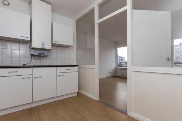Hijmans van den Berghlaan 3571 Utrecht - Foto 1